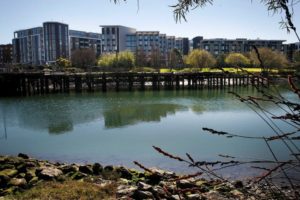 mission creek property with beautiful waterfront views